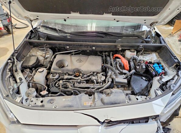 2T3RWRFV1PW184366 2023 TOYOTA RAV4 White 