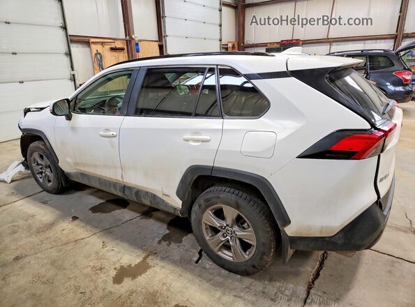 2T3RWRFV1PW184366 2023 TOYOTA RAV4 White 