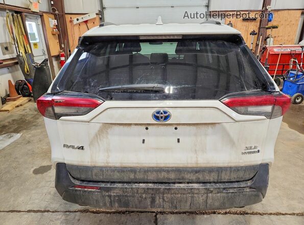 2T3RWRFV1PW184366 2023 TOYOTA RAV4 White 