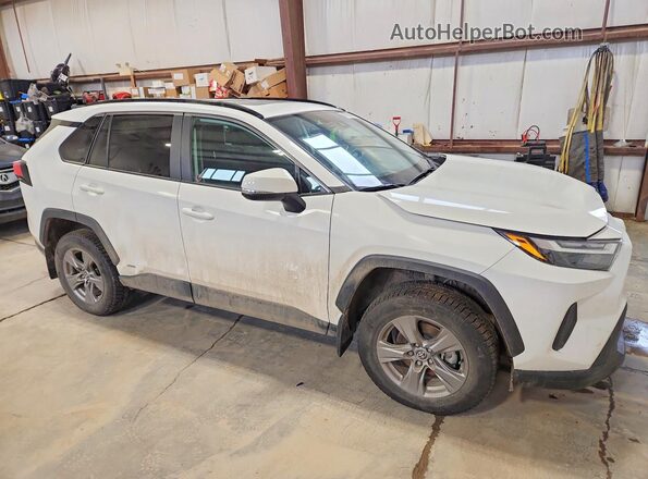 2T3RWRFV1PW184366 2023 TOYOTA RAV4 White 