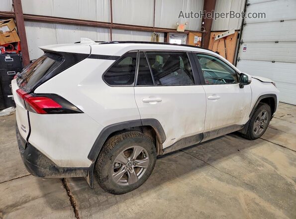 2T3RWRFV1PW184366 2023 TOYOTA RAV4 White 