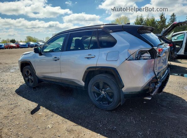 2T3RWRFV3KW046241 2019 TOYOTA RAV4 Gray 