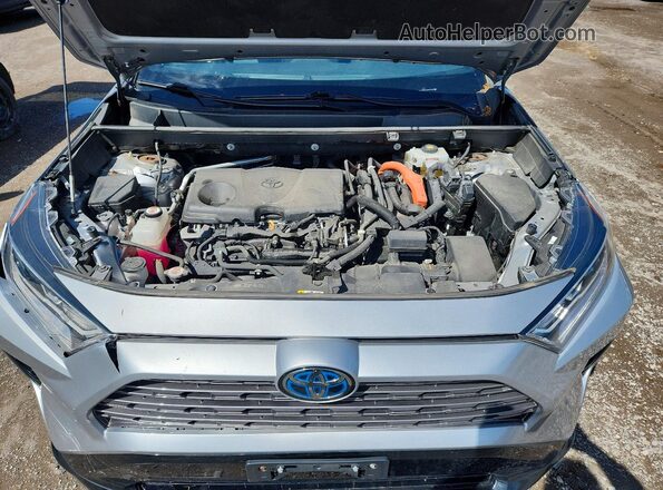2T3RWRFV3KW046241 2019 TOYOTA RAV4 Gray 