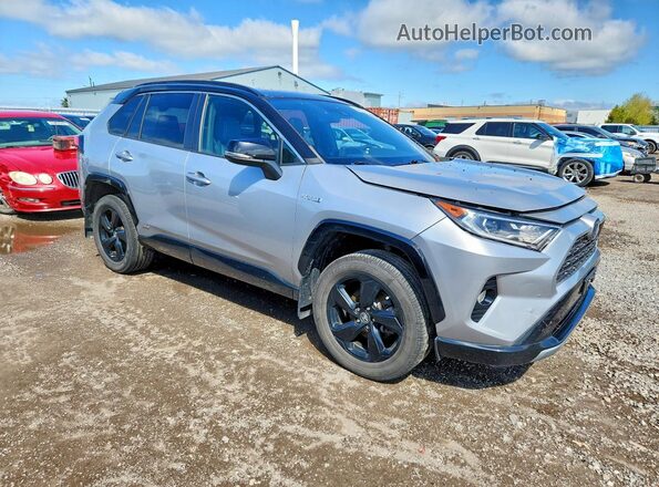 2T3RWRFV3KW046241 2019 TOYOTA RAV4 Gray 