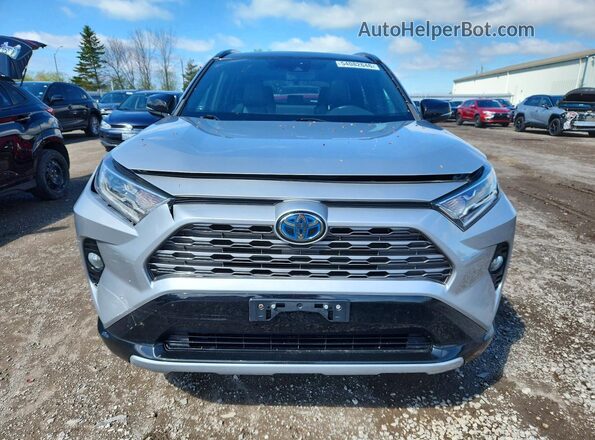 2T3RWRFV3KW046241 2019 TOYOTA RAV4 Gray 