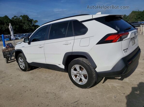 2T3RWRFV3LW053658 2020 TOYOTA RAV4 Белый Задняя левая четверть