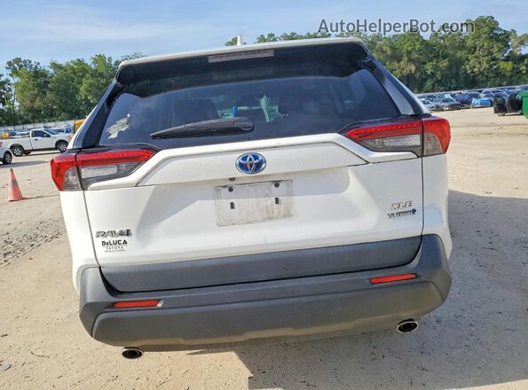 2T3RWRFV3LW053658 2020 TOYOTA RAV4 Белый Вид сзади