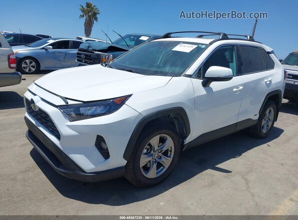 2T3RWRFV3RW247129 2024 TOYOTA RAV4 White 