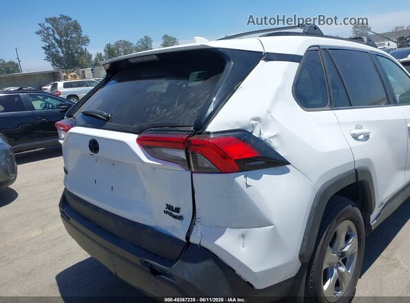 2T3RWRFV3RW247129 2024 TOYOTA RAV4 White 