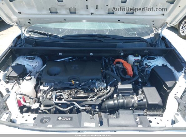 2T3RWRFV3RW247129 2024 TOYOTA RAV4 White 