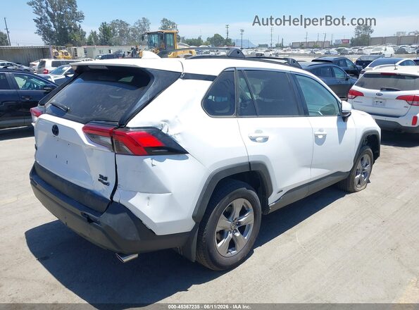 2T3RWRFV3RW247129 2024 TOYOTA RAV4 White 