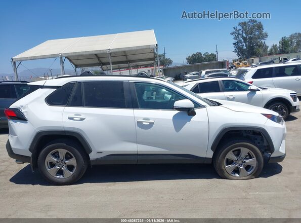 2T3RWRFV3RW247129 2024 TOYOTA RAV4 White 