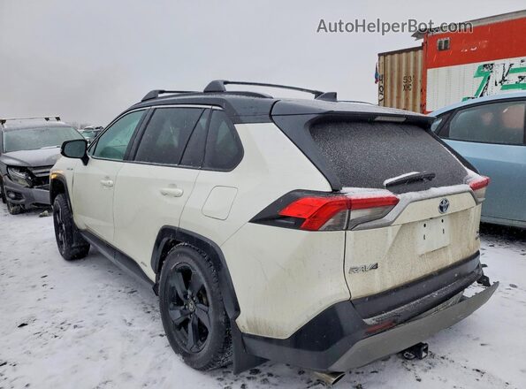 2T3RWRFV4MW113142 2021 TOYOTA RAV4 White Rear left