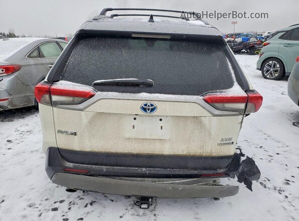 2T3RWRFV4MW113142 2021 TOYOTA RAV4 White Rear view