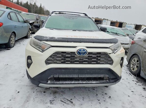 2T3RWRFV4MW113142 2021 TOYOTA RAV4 White Front view