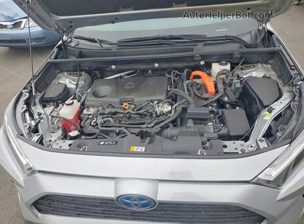 2T3RWRFV4RW202555 2024 TOYOTA RAV4 Gray უკანა სალონის ხედი