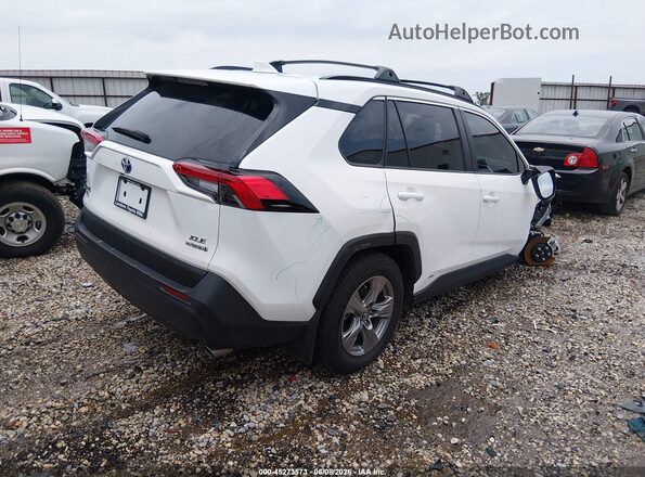 2T3RWRFV4RW245258 2024 TOYOTA RAV4 HYBRID Белый 
