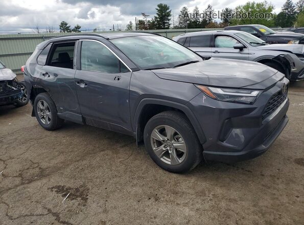 2T3RWRFV4SW270263 2025 TOYOTA RAV4 Gray 