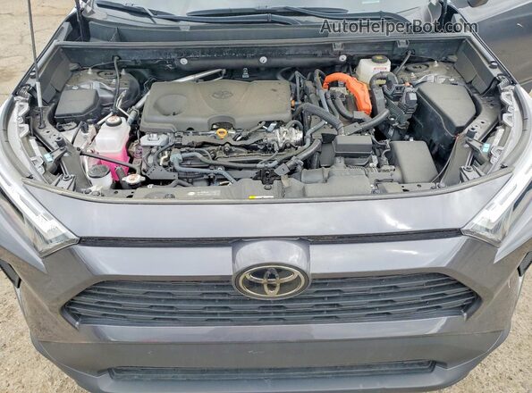 2T3RWRFV4SW270263 2025 TOYOTA RAV4 Gray 