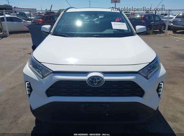 2T3RWRFV5KW025388 2019 TOYOTA RAV4 HYBRID White უკანა სალონის ხედი