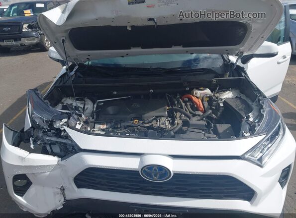 2T3RWRFV5LW055556 2020 TOYOTA RAV4 HYBRID White უკანა ხედი