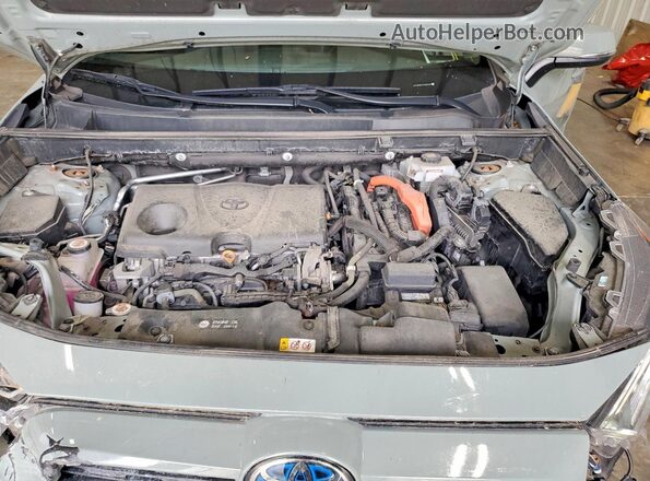 2T3RWRFV5LW066489 2020 TOYOTA RAV4 Green უკანა სალონის ხედი