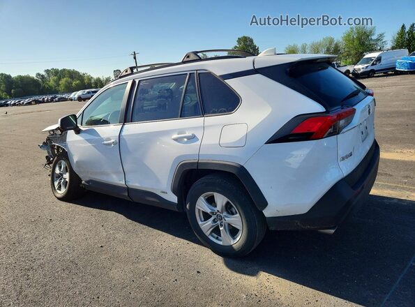 2T3RWRFV5LW087391 2020 TOYOTA RAV4 White Trasero izquierdo