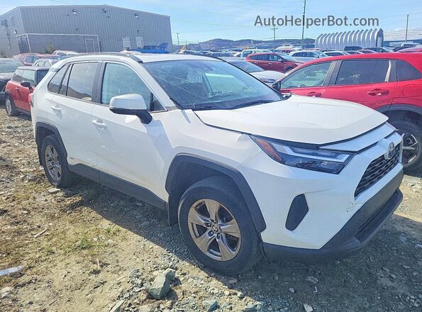2T3RWRFV5PW181728 2023 TOYOTA RAV4 White Առջևի աջ