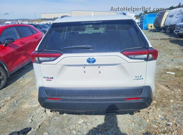 2T3RWRFV5PW181728 2023 TOYOTA RAV4 White Հետևի տեսք