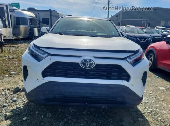 2T3RWRFV5PW181728 2023 TOYOTA RAV4 White Դիմացի տեսք