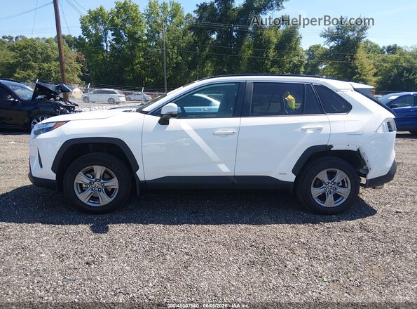 2T3RWRFV5RW203102 2024 TOYOTA RAV4 HYBRID White 