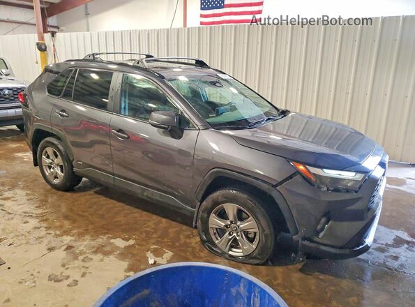 2T3RWRFV5RW251442 2024 TOYOTA RAV4 Gray 