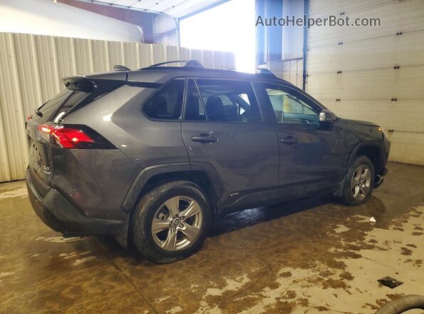 2T3RWRFV5RW251442 2024 TOYOTA RAV4 Gray 