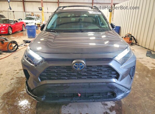2T3RWRFV5RW251442 2024 TOYOTA RAV4 Gray 
