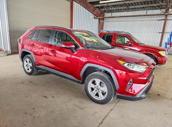 2T3RWRFV6LW095788 2020 TOYOTA RAV4 Burgundy 