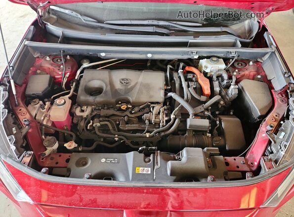 2T3RWRFV6LW095788 2020 TOYOTA RAV4 Burgundy 