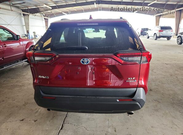 2T3RWRFV6LW095788 2020 TOYOTA RAV4 Burgundy 