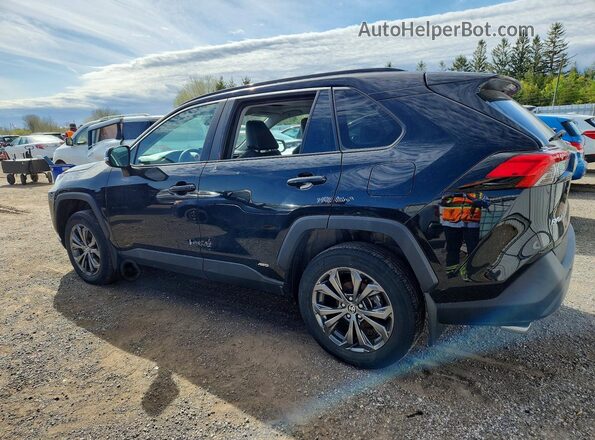 2T3RWRFV6PW179700 2023 TOYOTA RAV4 Black 