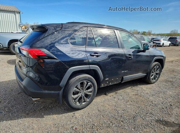 2T3RWRFV6PW179700 2023 TOYOTA RAV4 Black 