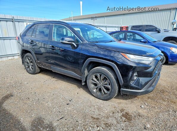 2T3RWRFV6PW179700 2023 TOYOTA RAV4 Black 