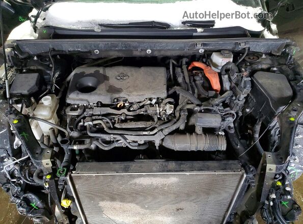 2T3RWRFV6RW202623 2024 TOYOTA RAV4 Black 