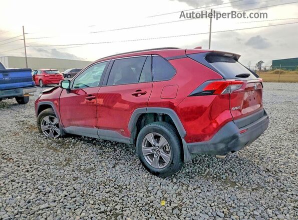2T3RWRFV6RW243463 2024 TOYOTA RAV4 Red Задня ліва чверть