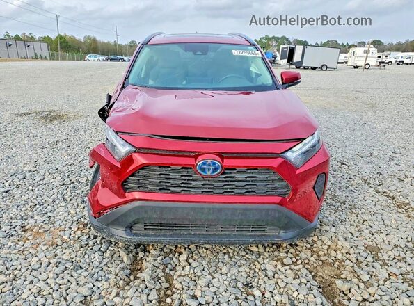 2T3RWRFV6RW243463 2024 TOYOTA RAV4 Red Вид спереду