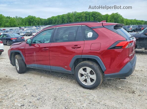 2T3RWRFV8LW056961 2020 TOYOTA RAV4 Burgundy Rear left