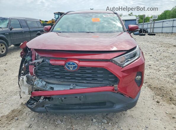 2T3RWRFV8LW056961 2020 TOYOTA RAV4 Burgundy Front view