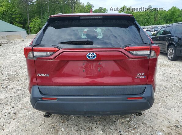 2T3RWRFV8LW056961 2020 TOYOTA RAV4 Burgundy Rear view