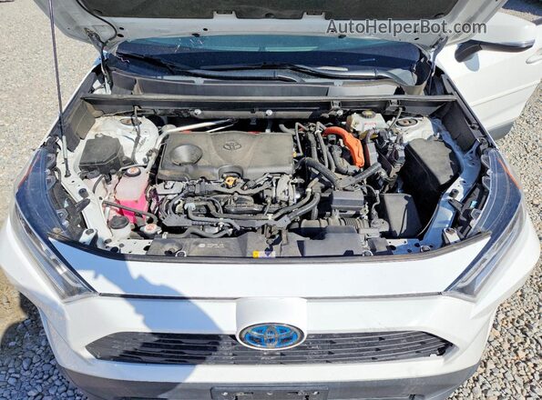 2T3RWRFV8LW062663 2020 TOYOTA RAV4 White 