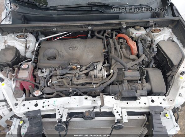 2T3RWRFVXLW078914 2020 TOYOTA RAV4 HYBRID White Widok z tyłu