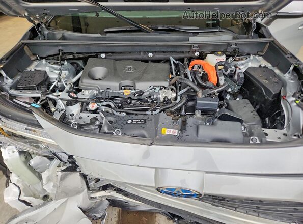2T3RWRFVXRW242395 2024 TOYOTA RAV4 Silver 