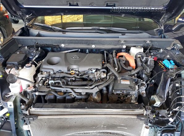 2T3RWRFVXSW269117 2025 TOYOTA RAV4 Blue 